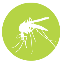 Malaria icon